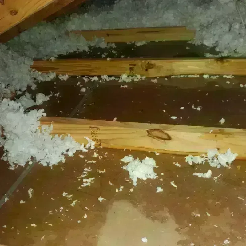 Attic Water Damage in Barnes Lake-Millers Lake, MI