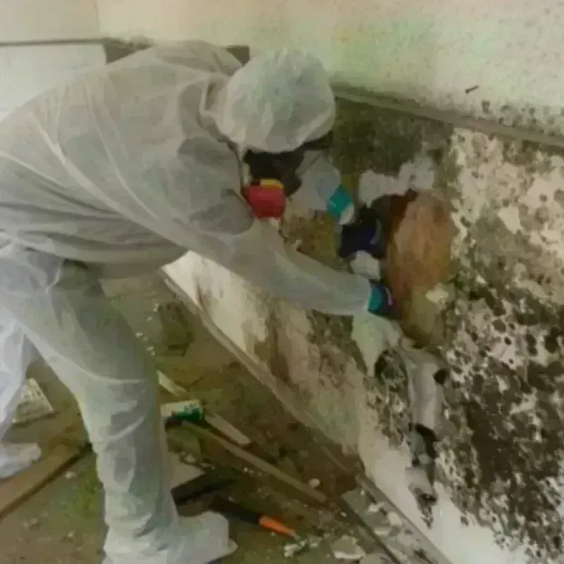 Mold Remediation and Removal in Barnes Lake-Millers Lake, MI